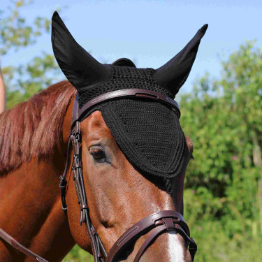 Halter Met Manet Brug T van T Halter Met Manet Brug T van T