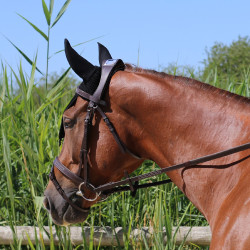 Halter Met Manet Brug T van T Donker Havana Bruin Halter Met Manet Brug T van T Donker Havana Bruin