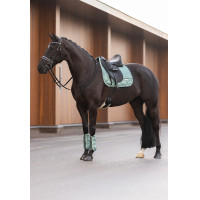 Guêtres de dressage Imperial Riding Lovely Sage Green Bleu Guêtres de dressage Imperial Riding Lovely Sage Green Bleu
