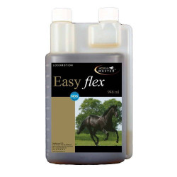 Easy Flex Horse Master Easy Flex Horse Master