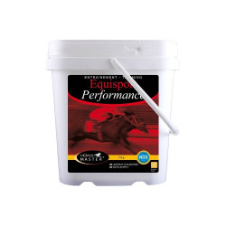 Equisport Prestatiepaarden Meester Equisport Prestatiepaarden Meester