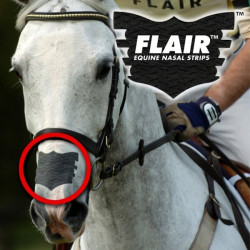 Flair Nasal Strip Noir