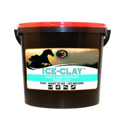 Ice Clay Foran Ice Clay Foran