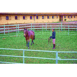 Pack panels galvanisés 3 m La Gée