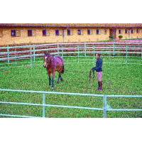 Pakket verzinkte panelen 3... Pakket verzinkte panelen 3...