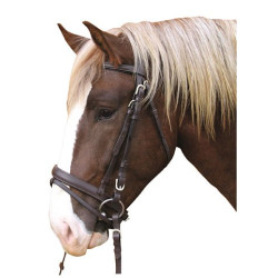 Bridon Cheval de Trait Cuir Marron Bridon Cheval de Trait Cuir Marron