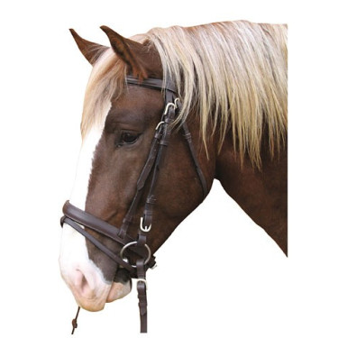 Leren Trekpaard Hoofdstel Leren Trekpaard Hoofdstel