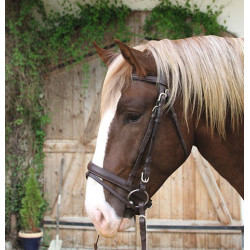 Leren Trekpaard Hoofdstel Leren Trekpaard Hoofdstel