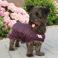 Manteau pour chien Back on Track® Night Collection Bleu Manteau pour chien Back on Track® Night Collection Bleu
