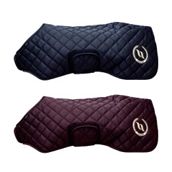 Hondenjas Back on Track® Night Collection