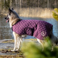 Manteau pour chien Back on Track® Night Collection Bordeaux Manteau pour chien Back on Track® Night Collection Bordeaux