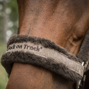 Licol Back on Track Haze Collection Marron