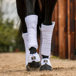 Onderbandages Scandic Back on Track Onderbandages Scandic Back on Track