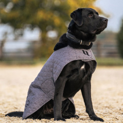 Manteau pour chien Back on Track® Haze Collection Gris