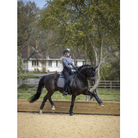 Tapis LeMieux Self-Cool Dressage Square
