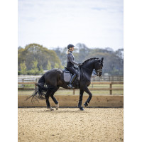 Tapis LeMieux Self-Cool Dressage Square Gris