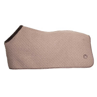Chemise Back on Track Haze Collection Marron