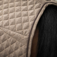 Overhemd Back on Track Haze Collection Bruin