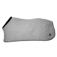 Hemd Haze Collectie Back on Track Gemêleerd grijs