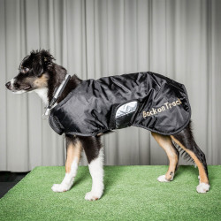 Halsband voor hond Molly Back on Track Zwart / zilver Halsband voor hond Molly Back on Track Zwart / zilver