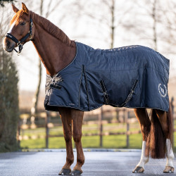 Couverture de box Millie Back on Track 100g