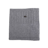 Sjaal Devon Back on Track