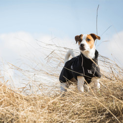 Manteau chien polyvalent Bark Back on Track Noir Manteau chien polyvalent Bark Back on Track Noir