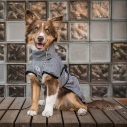 Manteau chien polyvalent Nella Back on Track Gris Manteau chien polyvalent Nella Back on Track Gris