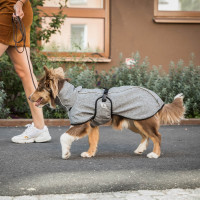 Manteau chien polyvalent Nella Back on Track Noir
