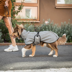 Manteau chien polyvalent Nella Back on Track Gris Manteau chien polyvalent Nella Back on Track Gris