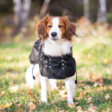 Waterdichte gevoerde jas voor hond Back on Track Waterdichte gevoerde jas voor hond Back on Track