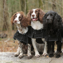 Supreme fleecejas voor honden Back on Track Zwart