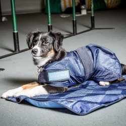 Manteau Rafraîchissant pour chien Back on Track