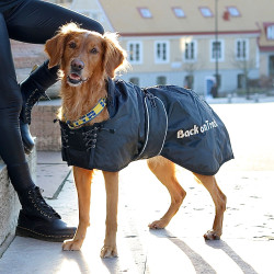 Standaard jas Back on Track voor hond Zwart Standaard jas Back on Track voor hond Zwart
