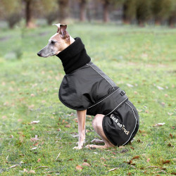 Manteau Whippet pour chien Back on Track Noir