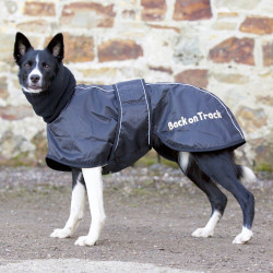 Manteau Whippet pour chien Back on Track Noir