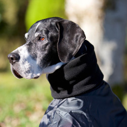 Manteau Whippet pour chien Back on Track Noir
