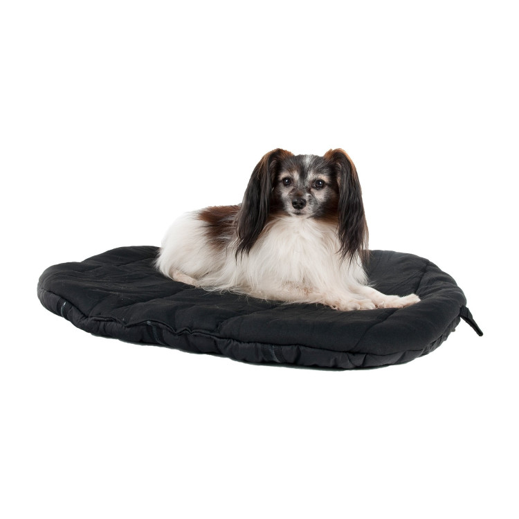 Matelas de voyage pour chien Back on Track Matelas de voyage pour chien Back on Track