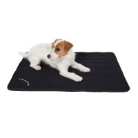Multifunctionele matras voor honden Back on Track Zwart Multifunctionele matras voor honden Back on Track Zwart