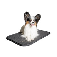 Multifunctionele matras voor honden Back on Track Zwart Multifunctionele matras voor honden Back on Track Zwart