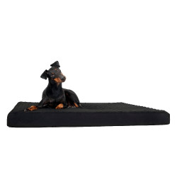Matelas pour chien Back on Track Noir Matelas pour chien Back on Track Noir
