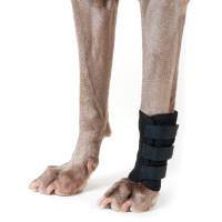 Protection pattes avant Back on Track pour chien Noir Protection pattes avant Back on Track pour chien Noir