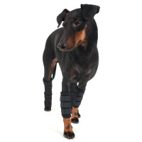 Protection pattes avant Back on Track pour chien Noir Protection pattes avant Back on Track pour chien Noir