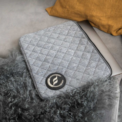 Sac d'ordinateur Back on Track Haze Collection Gris