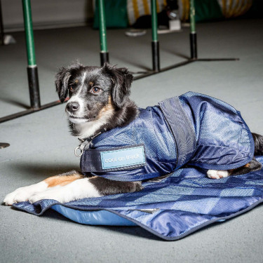 Serviette Rafraîchissante pour chien Cool on Track Back on Track Serviette Rafraîchissante pour chien Cool on Track Back on Track