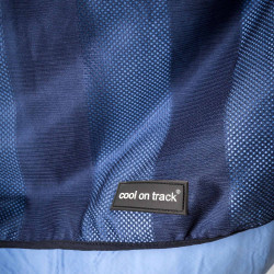 Serviette Rafraîchissante pour chien Cool on Track Back on Track