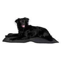 Tapis pour cage pour chien Back on Track Noir