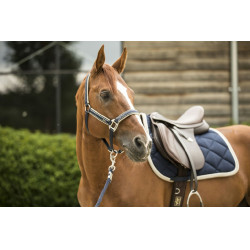 Tapis de selle Lami-Cell Elegance Marine / champagne Bleu