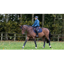 Tapis LeMieux GP Square Coton Bleu marine