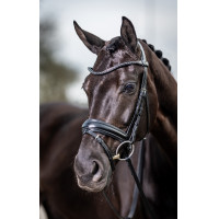 Bridon de dressage Classic LeMieux Noir